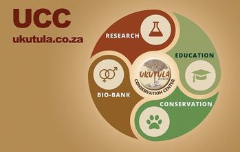 The four pillars of UCC