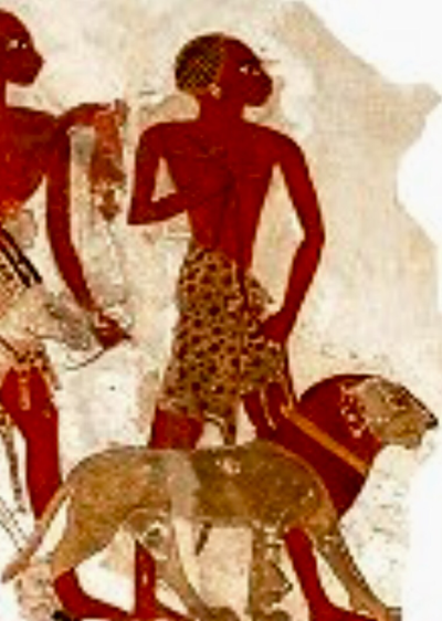 Maned lion on leash in ancient Egypt